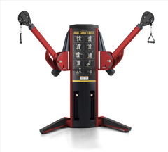 FreeMotion GENESIS Dual Cable Cross G624 - IU