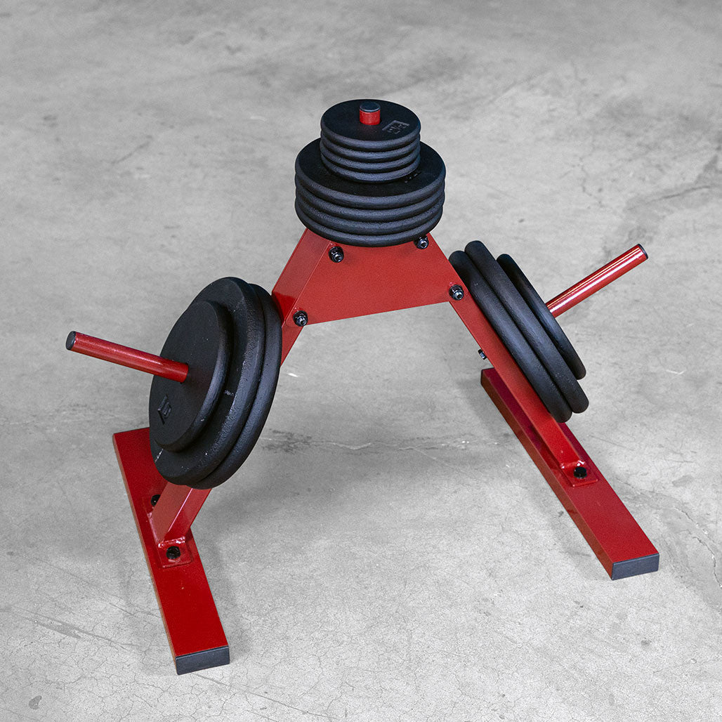 Best Fitness Standard Tree