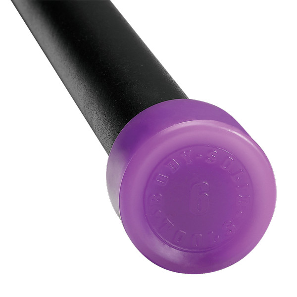 6LB LIGHT PURPLE PADDED WEIGHTED BAR - Grip Diameter 1.05"