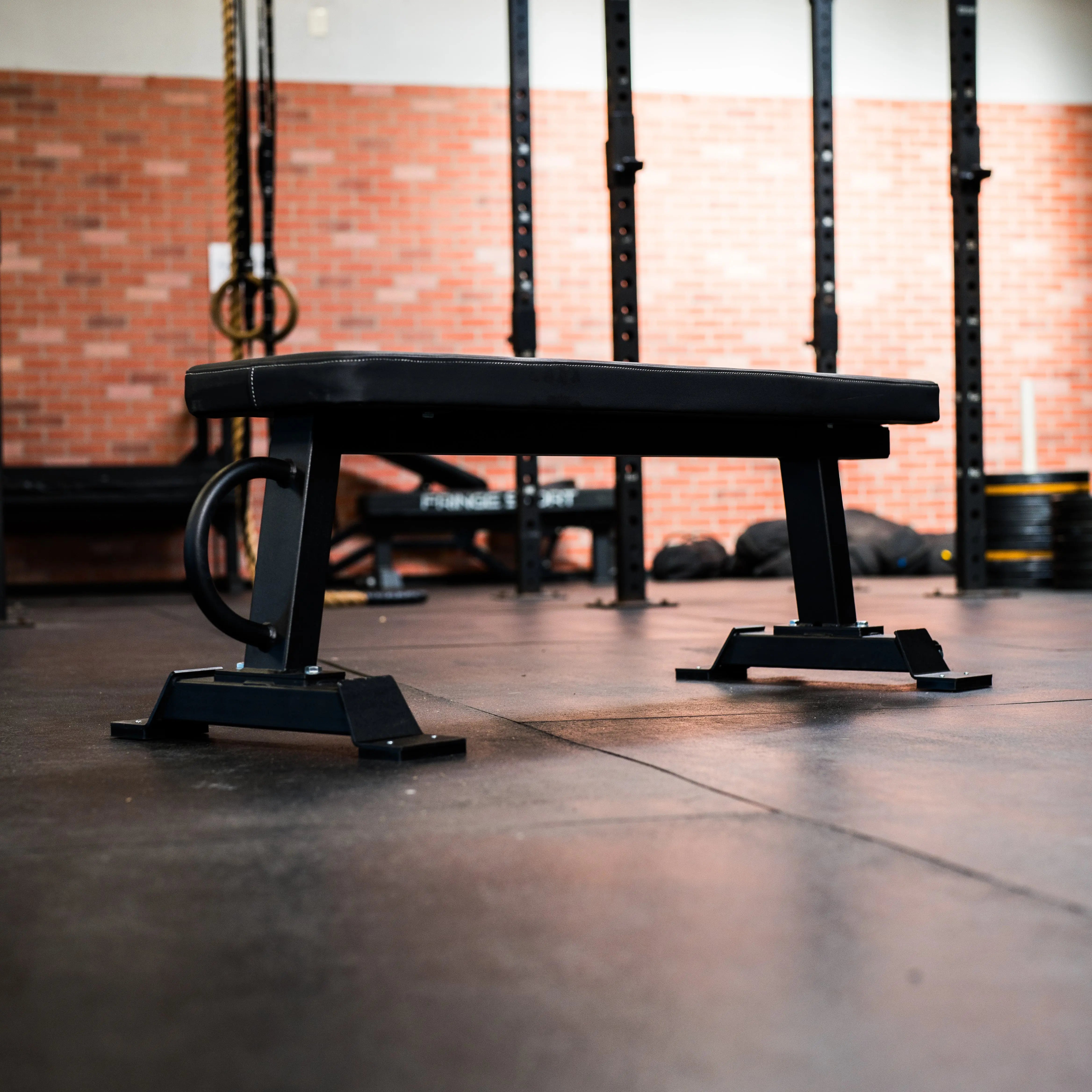 Bad Ass Utility Bench Fringe Sport