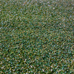 Roll of Gym Turf
