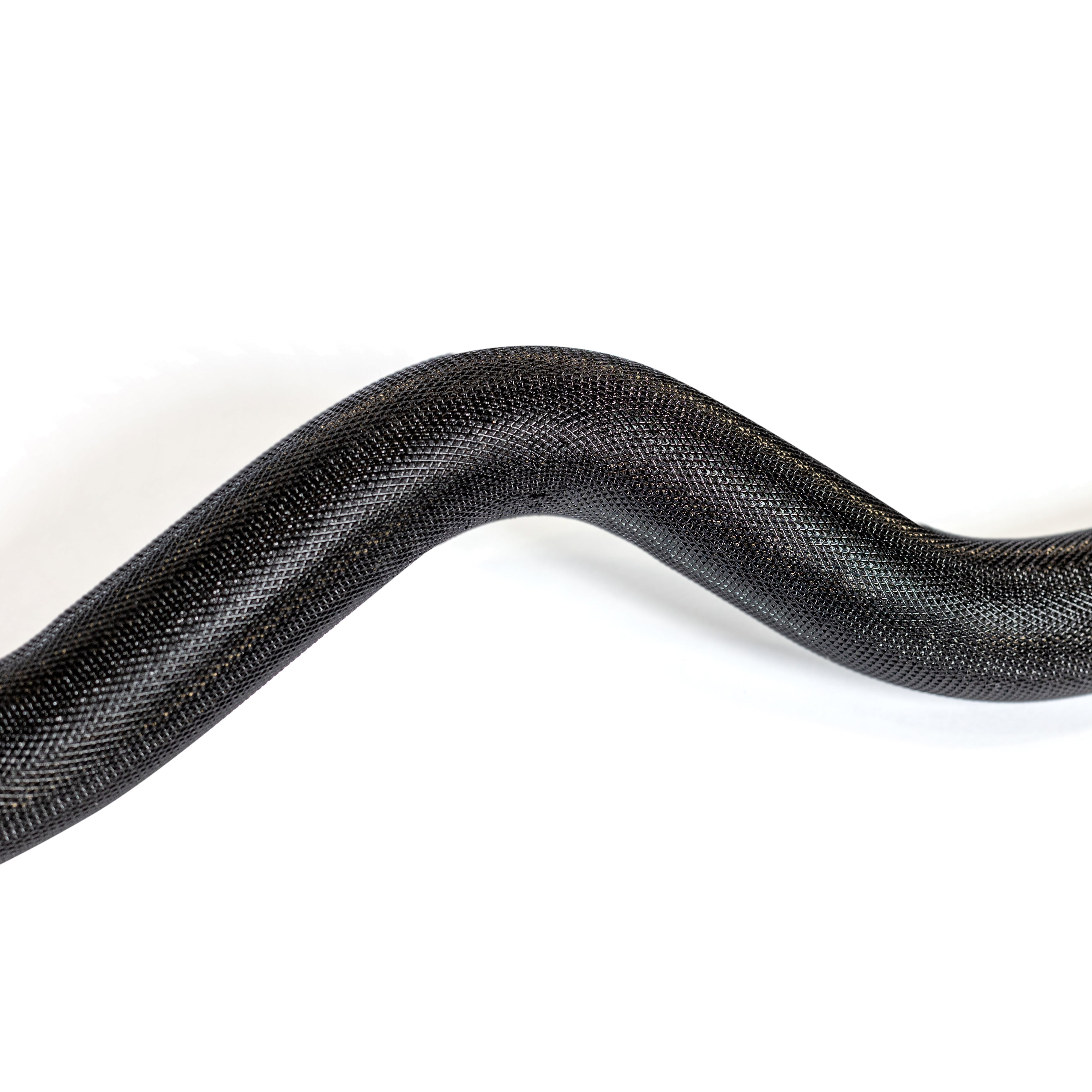 EZ Curl Bar (54.5")