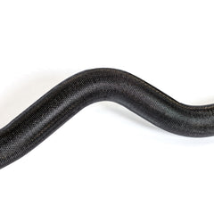 EZ Curl Bar (54.5")