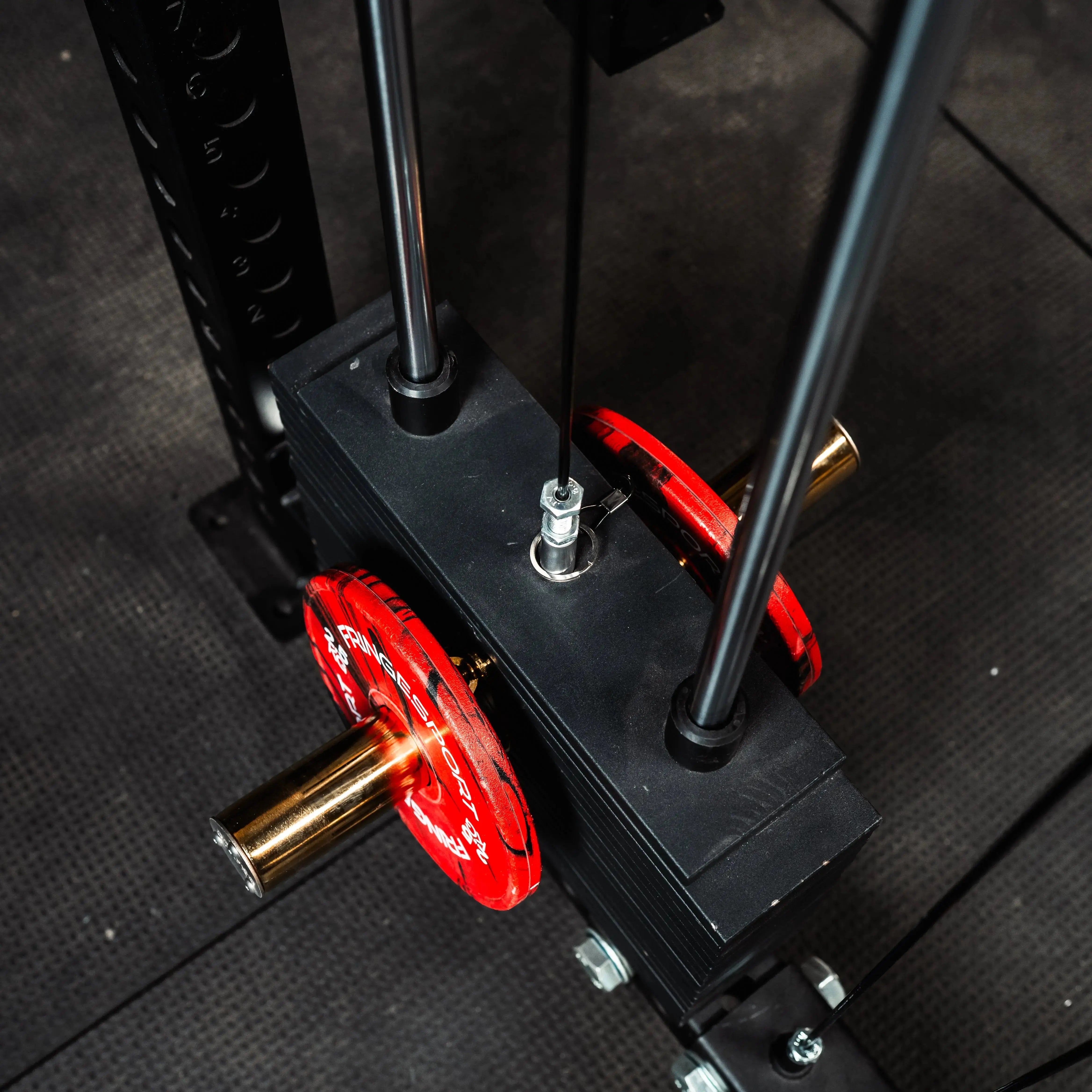 El Toro Weight Horns Fringe Sport