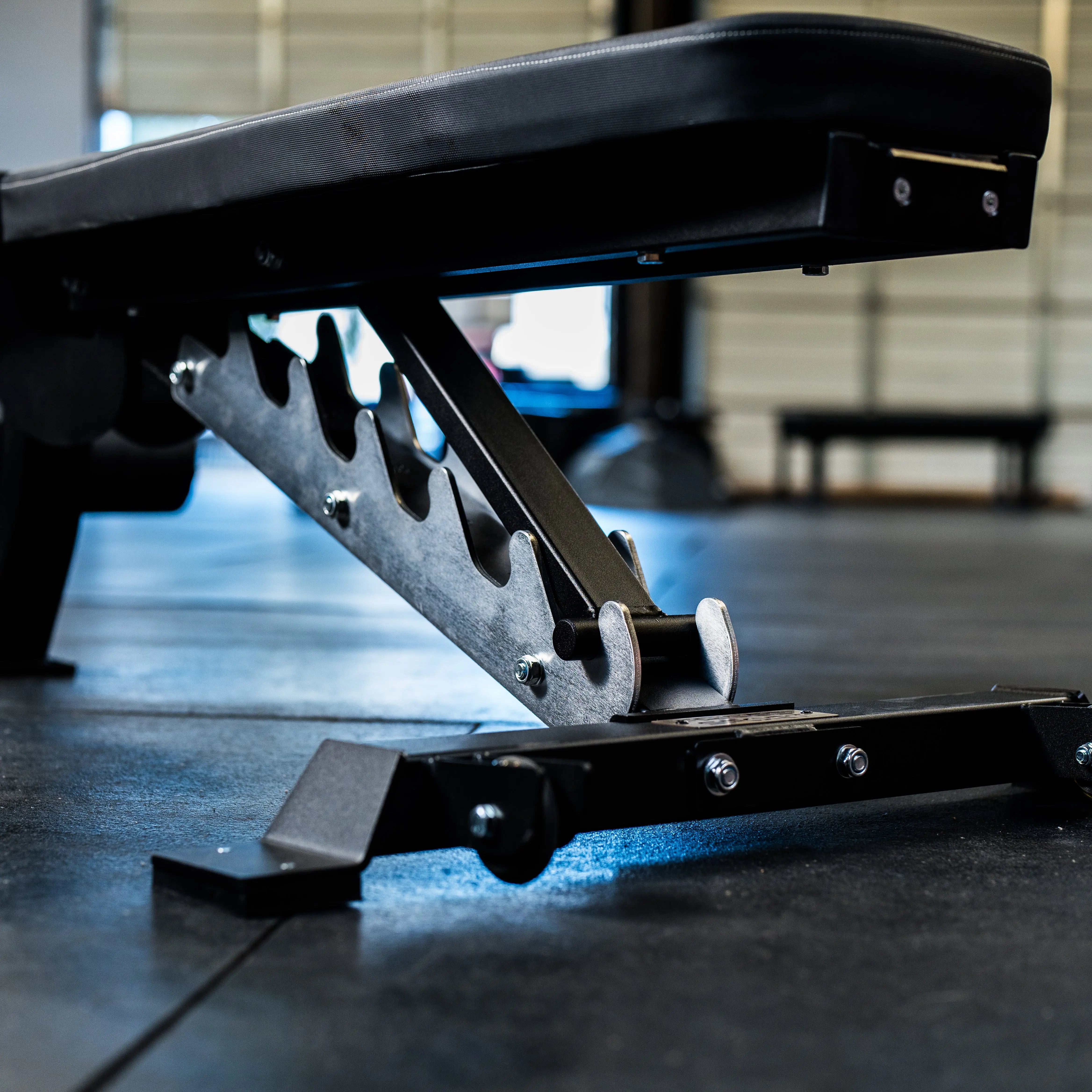 Flat/Incline/Decline Bench