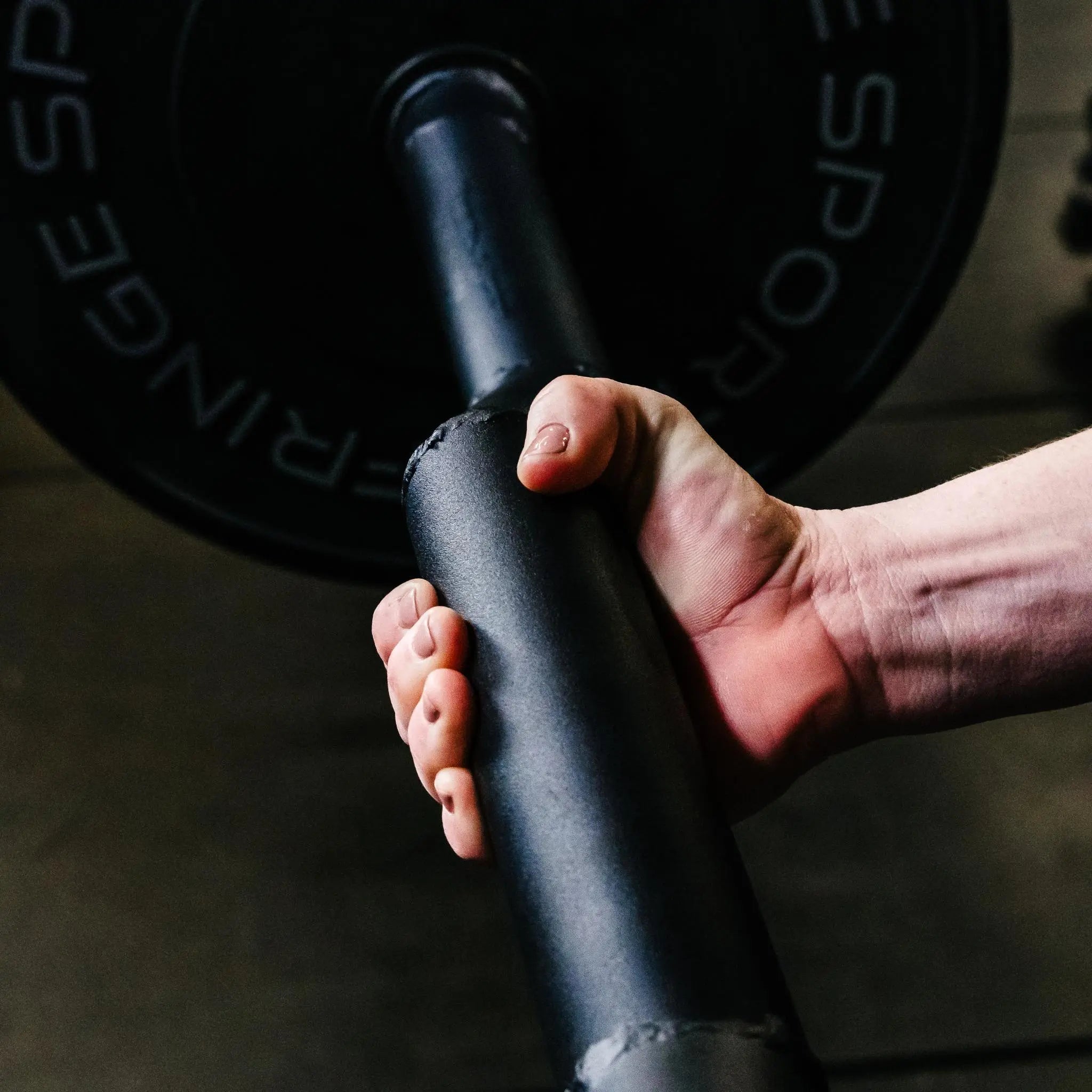 "La Gordita" EZ Curl Axle Bar Fringe Sport