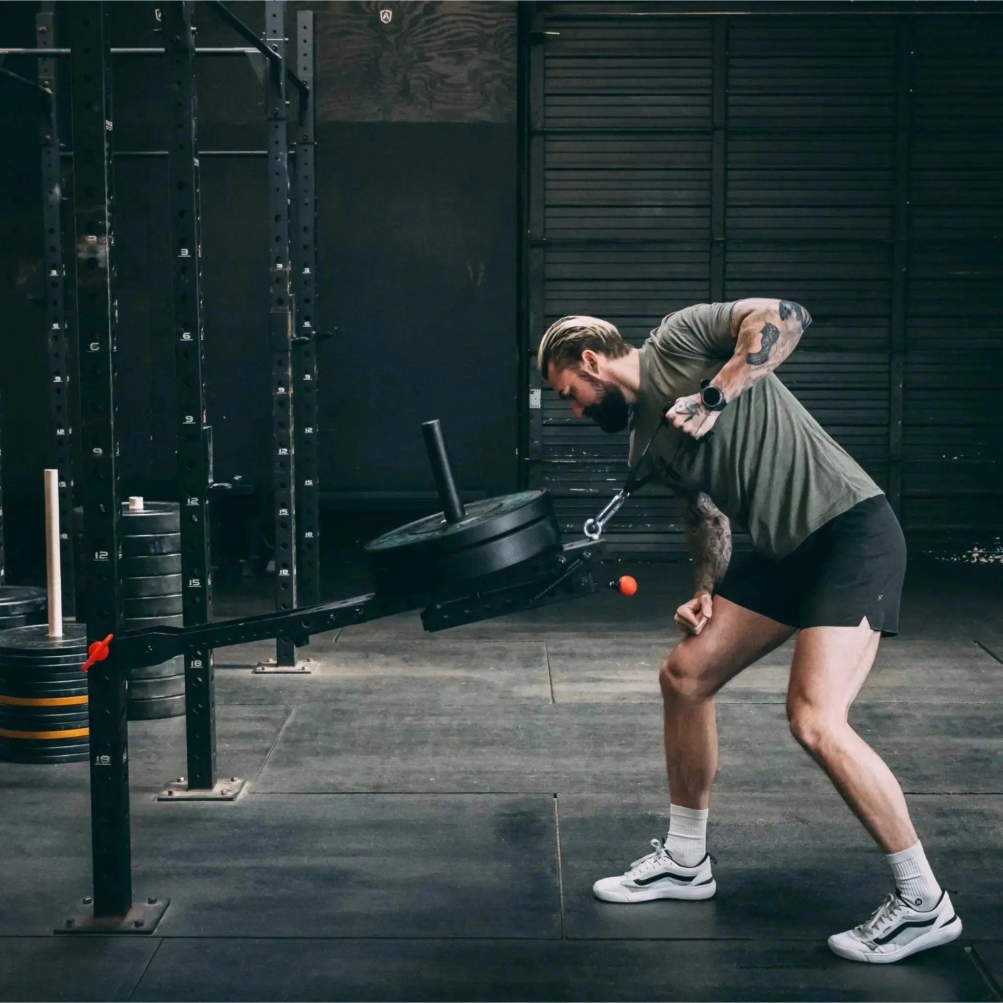 Mammoth Belt Squat (With Free Kickstand & Belt)