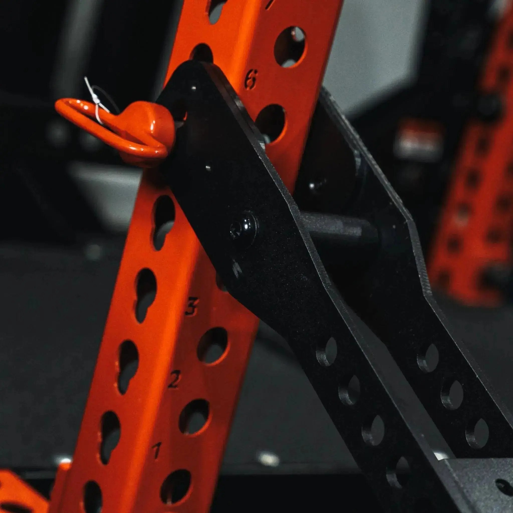 Mammoth Belt Squat (With Free Kickstand & Belt)