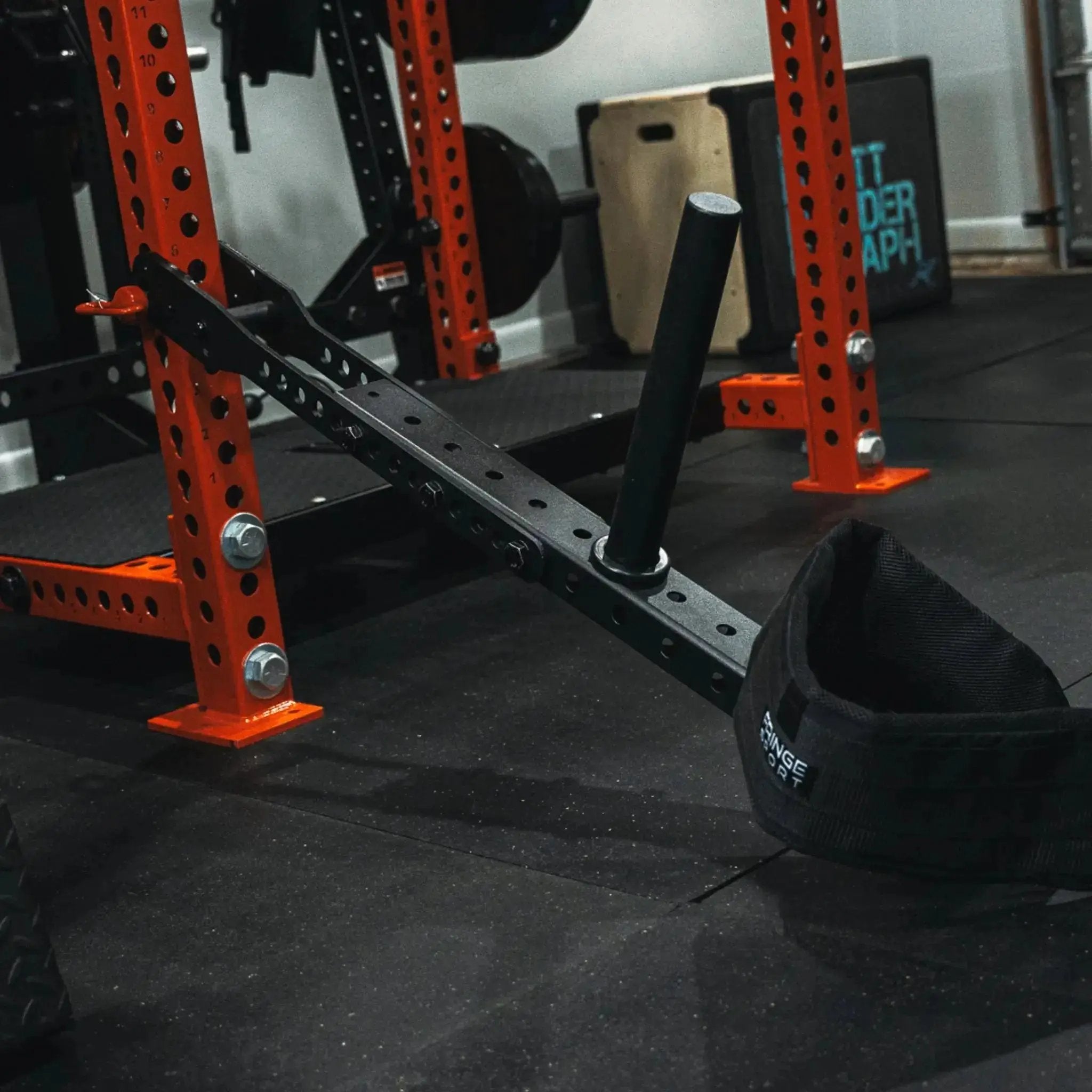 Mammoth Belt Squat (With Free Kickstand & Belt)