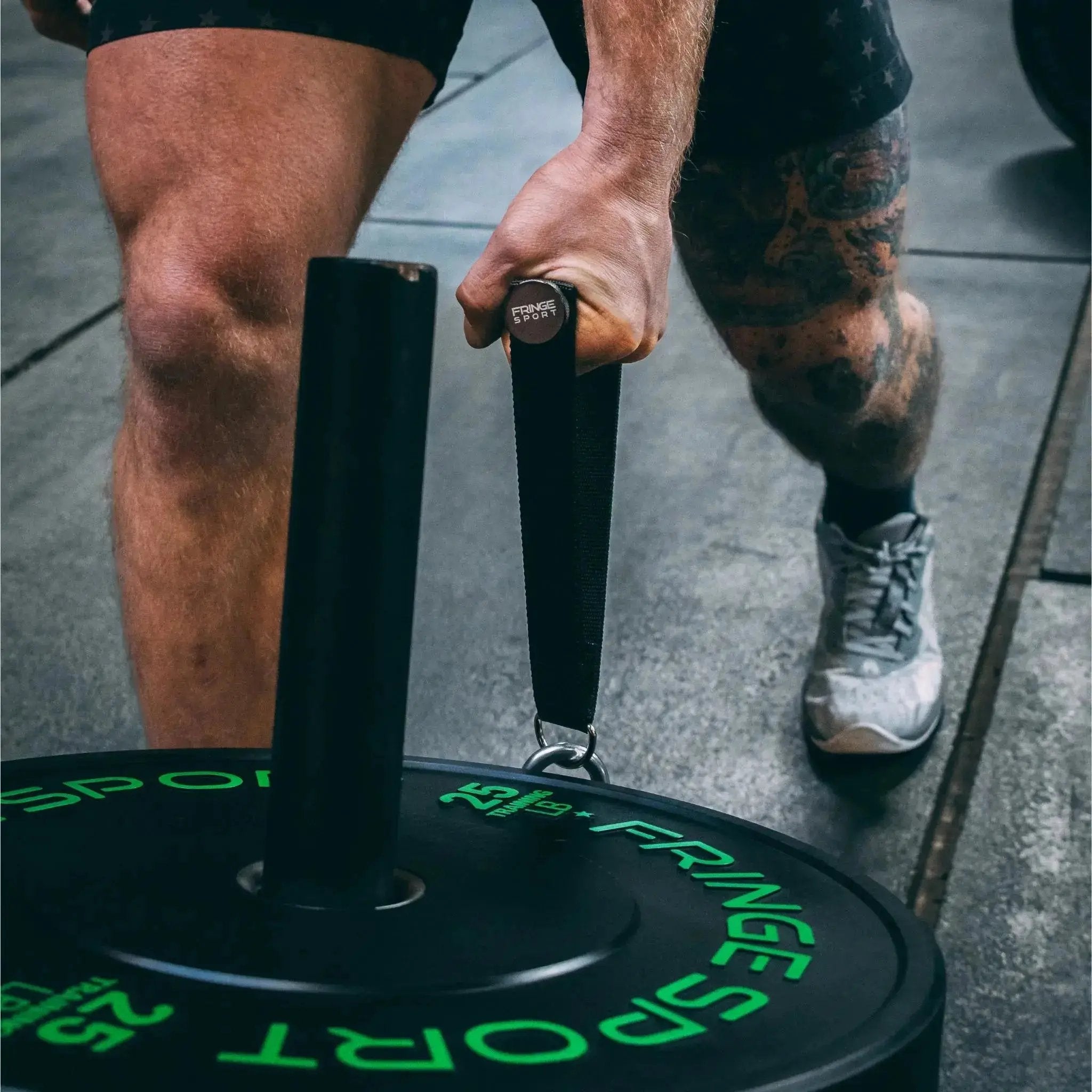Mammoth Belt Squat (With Free Kickstand & Belt)