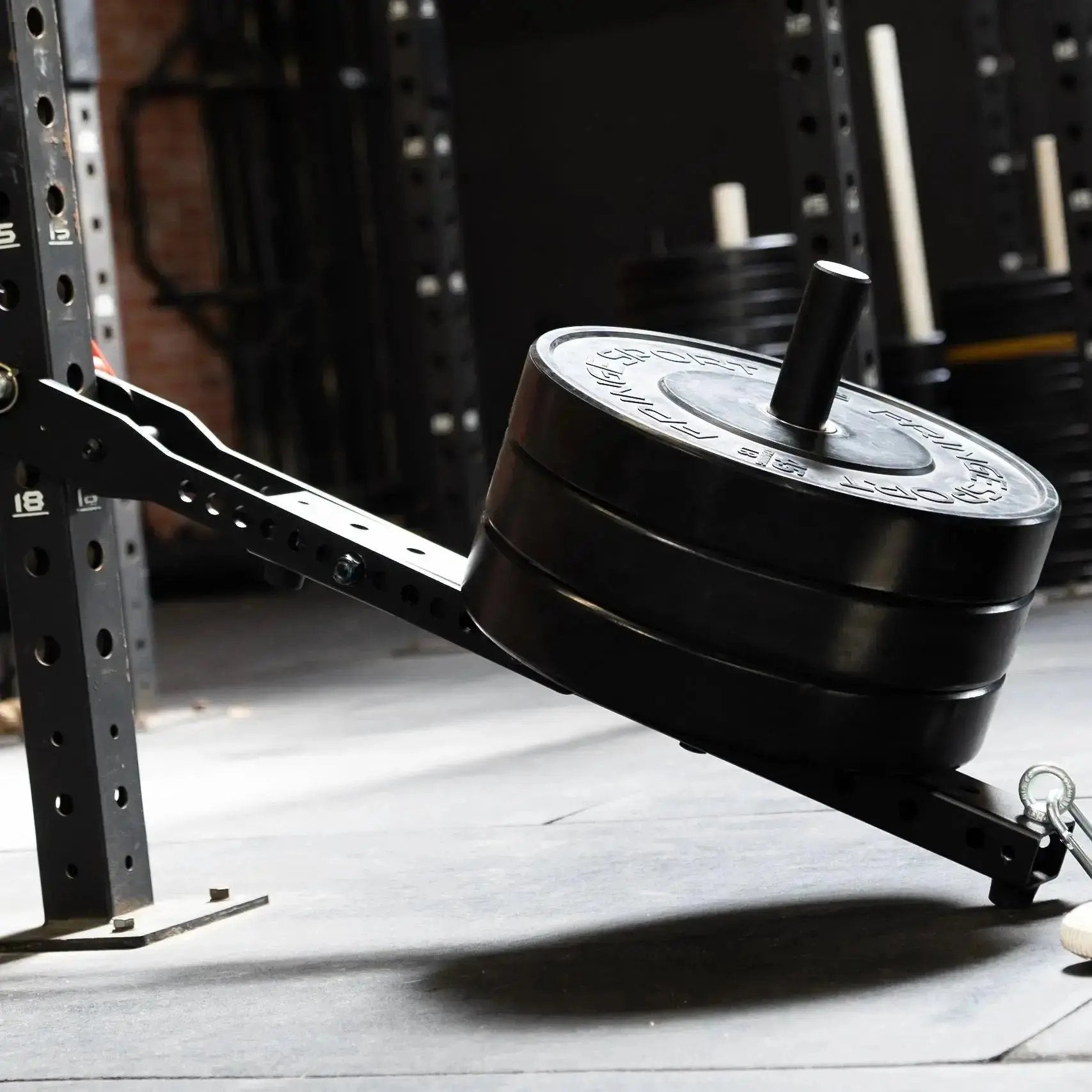 Mammoth Belt Squat (With Free Kickstand & Belt)