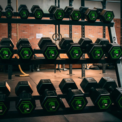 Silverback Rubber Coated Dumbbells Fringe Sport