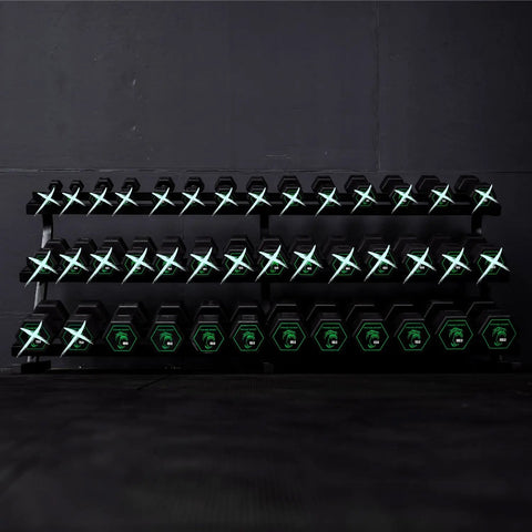 Silverback Rubber Coated Dumbbells (7411205832751)