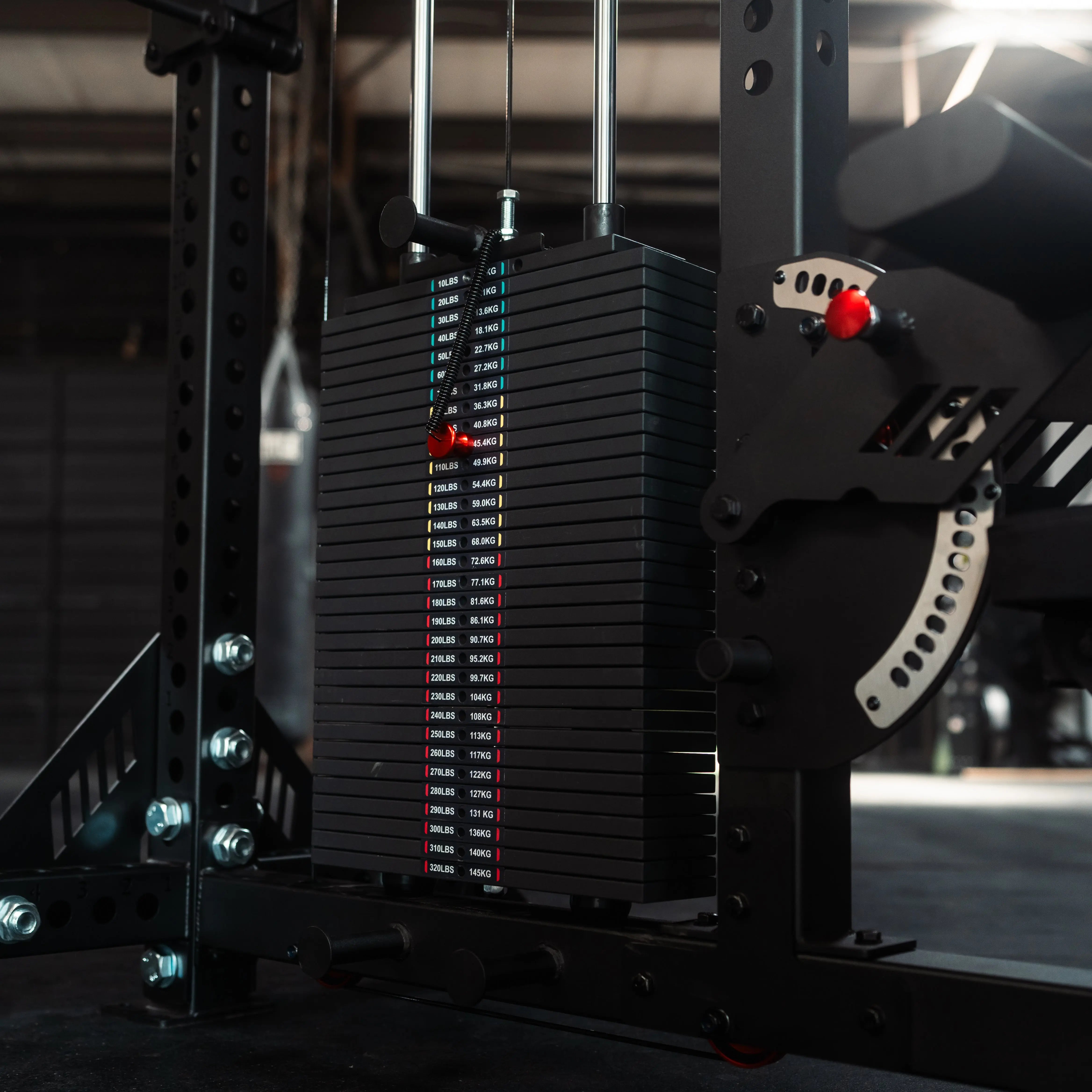 The Walrus: Single Tower Low Row & Lat Pulldown Fringe Sport