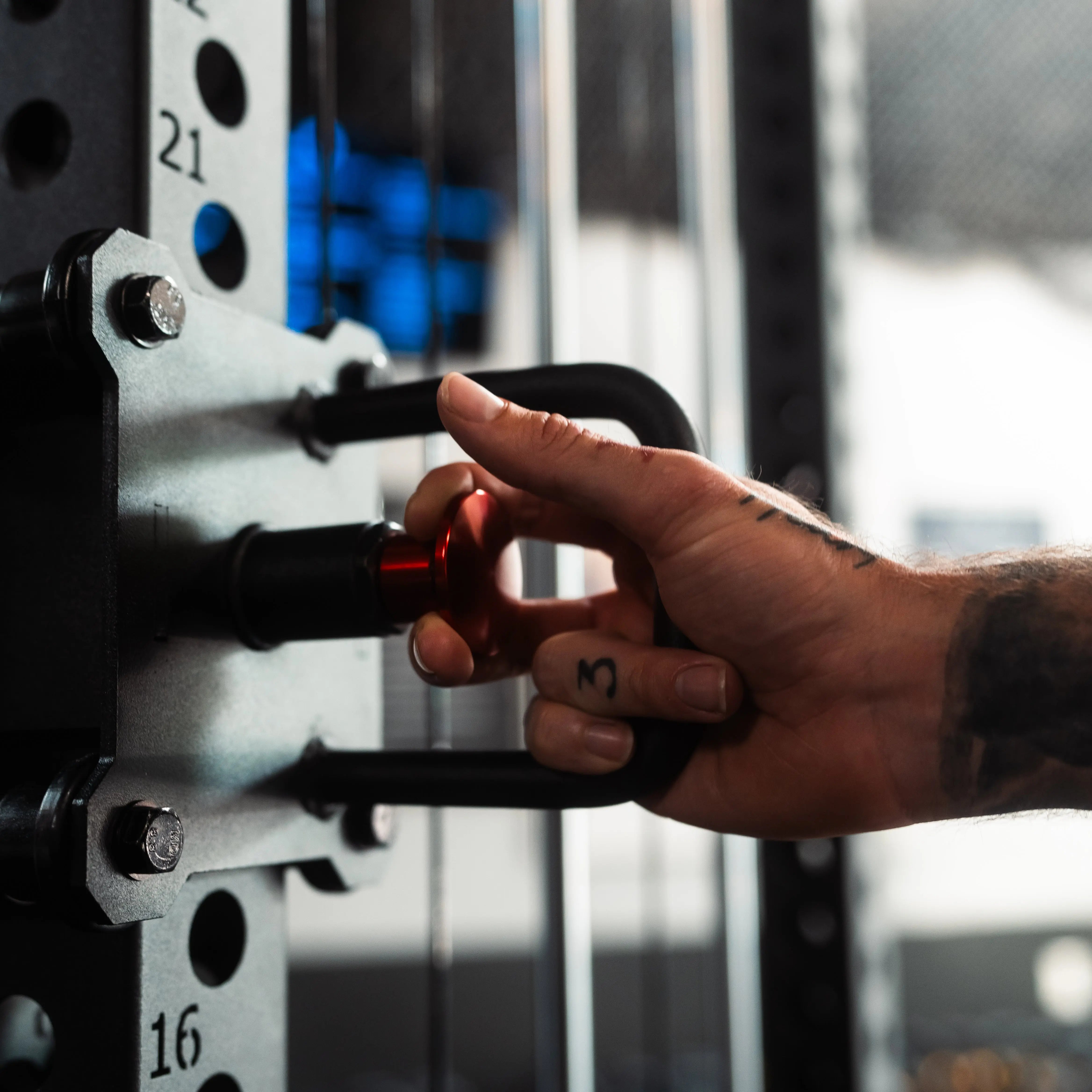 The Walrus: Single Tower Low Row & Lat Pulldown Fringe Sport