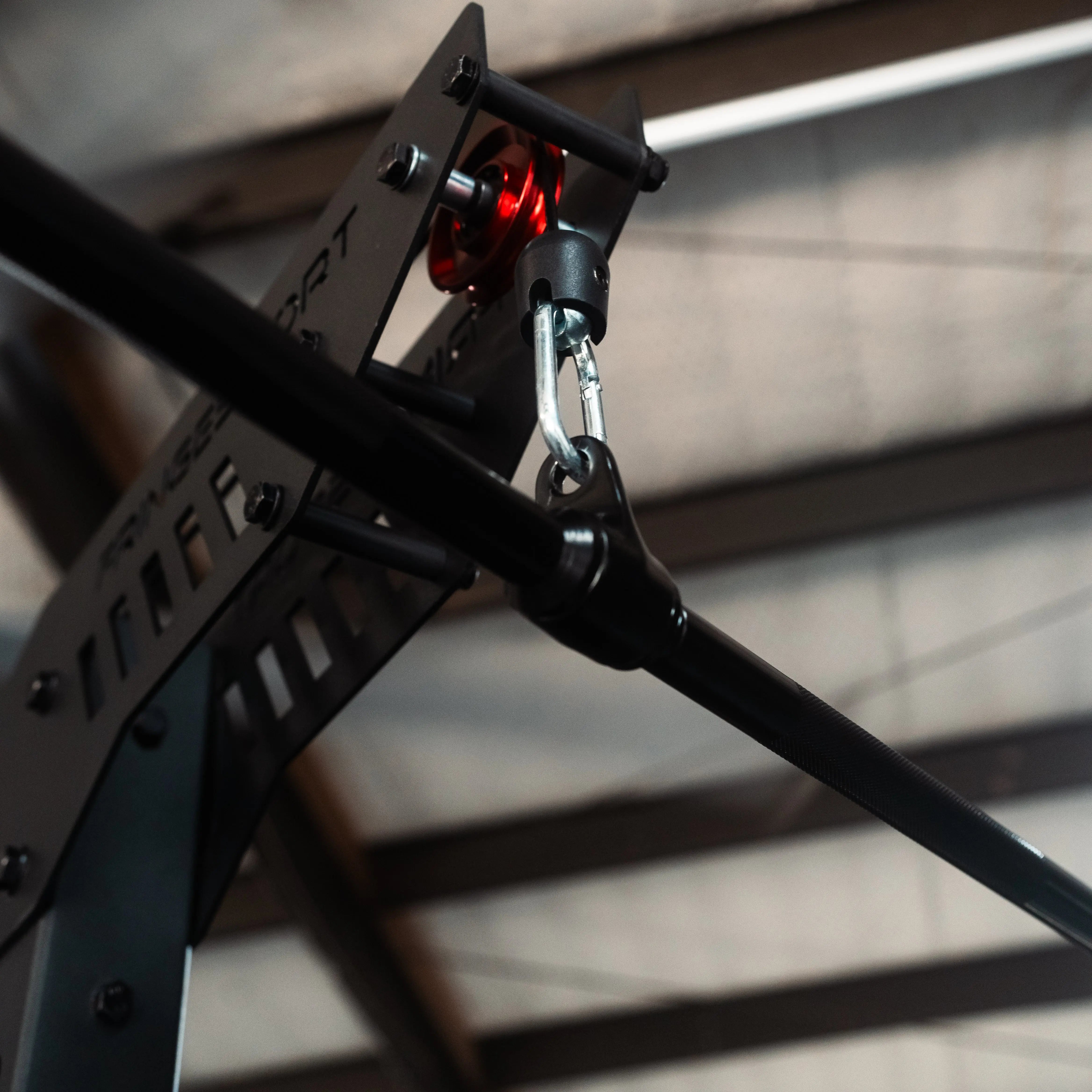 The Walrus: Single Tower Low Row & Lat Pulldown Fringe Sport