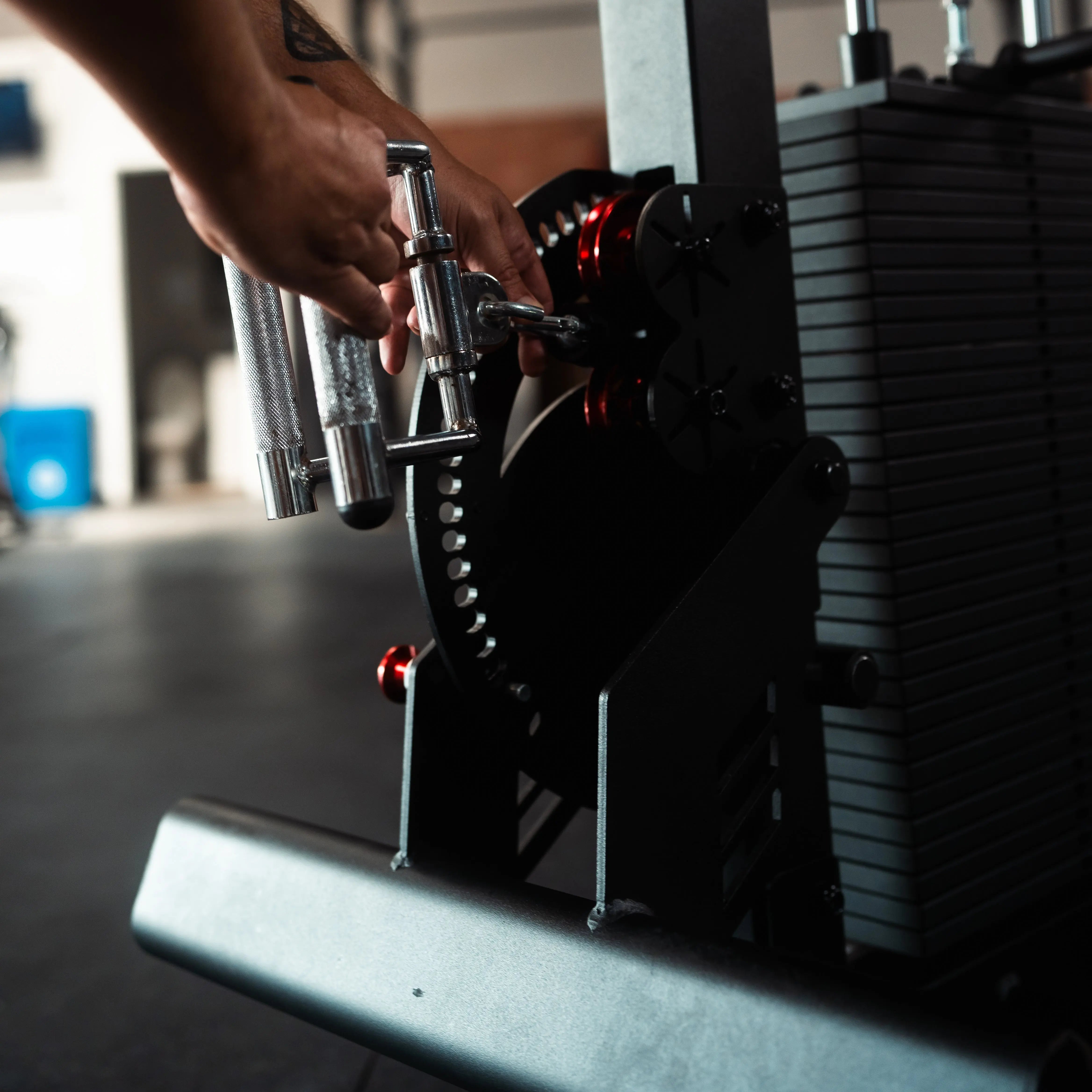 The Walrus: Single Tower Low Row & Lat Pulldown Fringe Sport