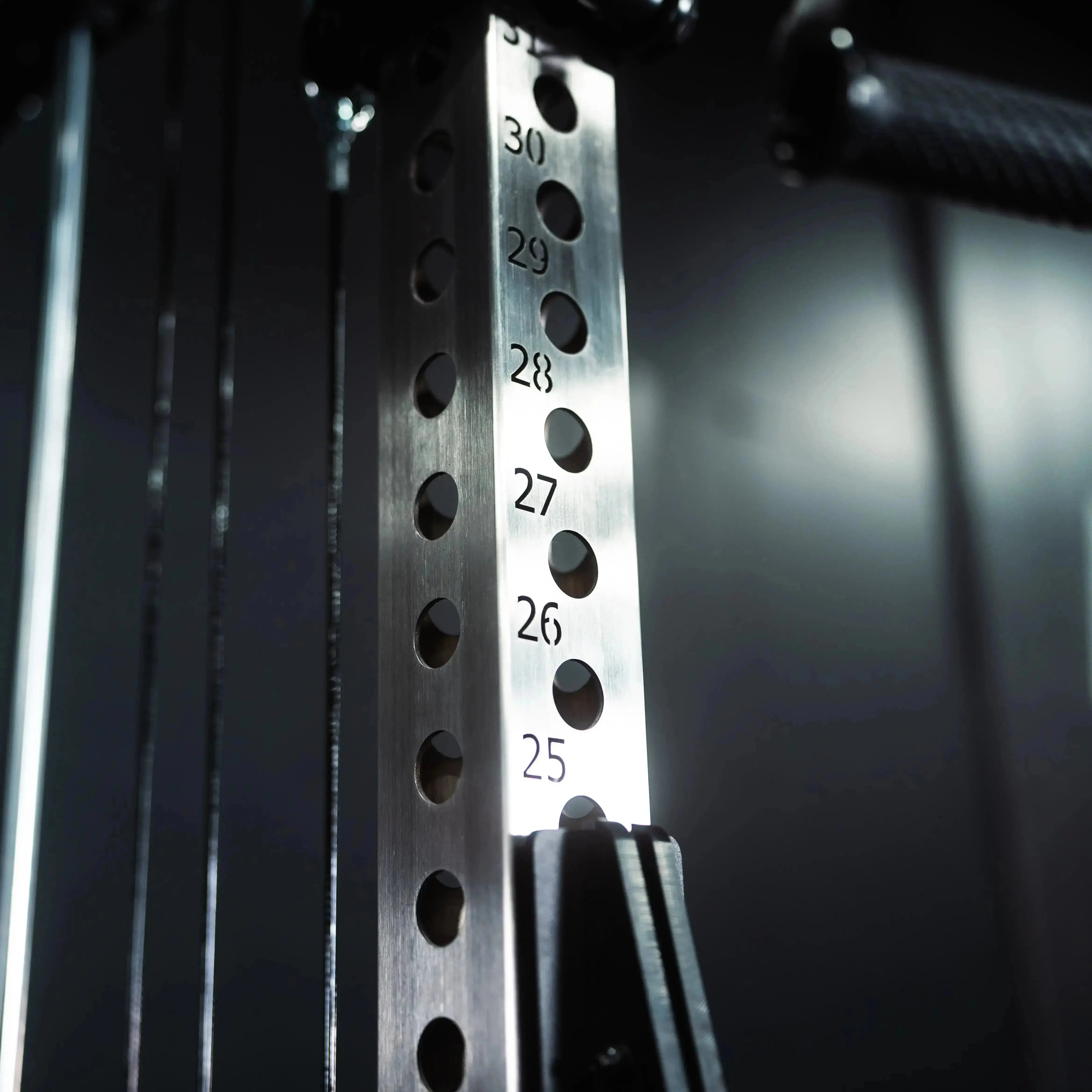 The Dane 2.0 Functional Trainer & Squat Rack | All-In-One Home Gym