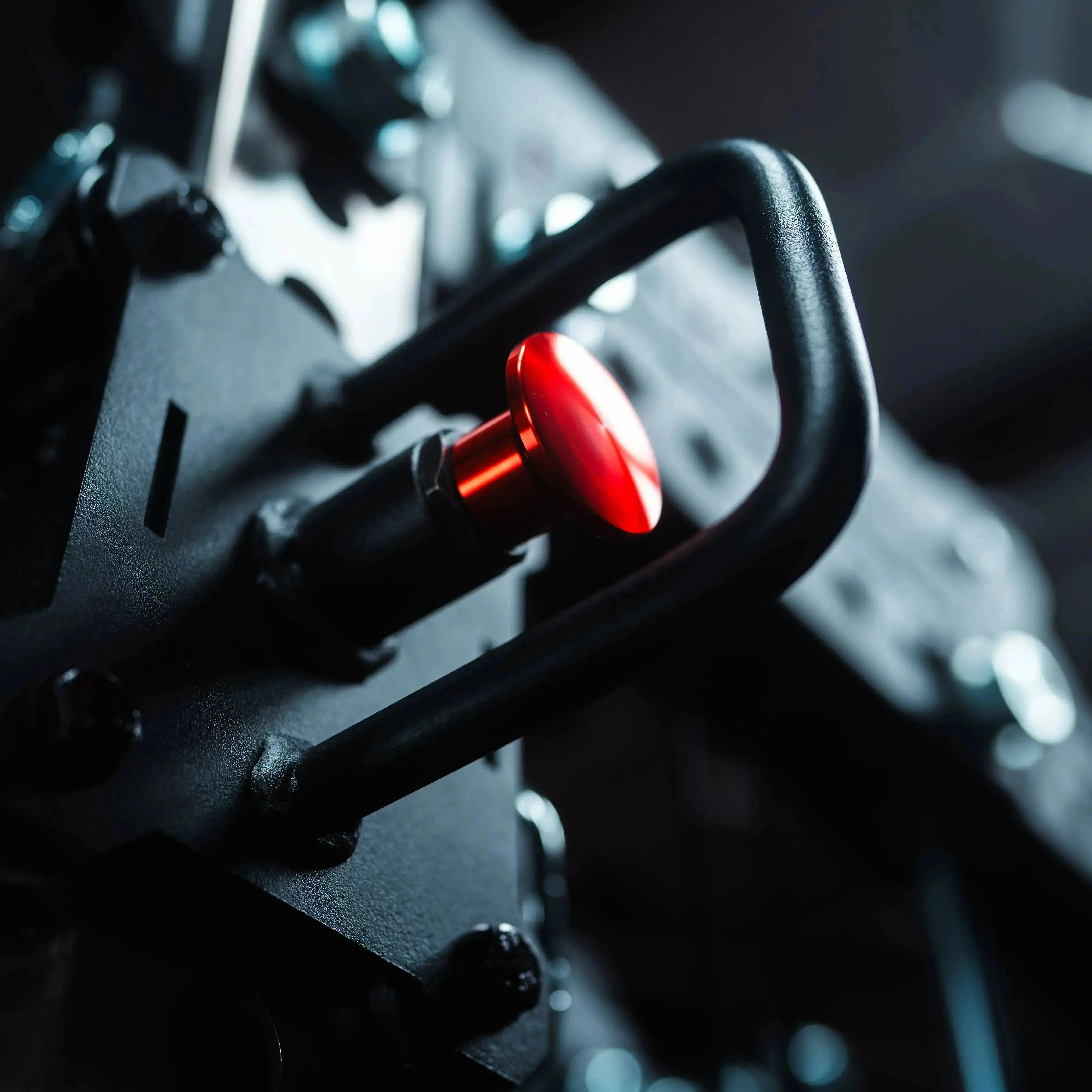 The Dane 2.0 Functional Trainer & Squat Rack | All-In-One Home Gym