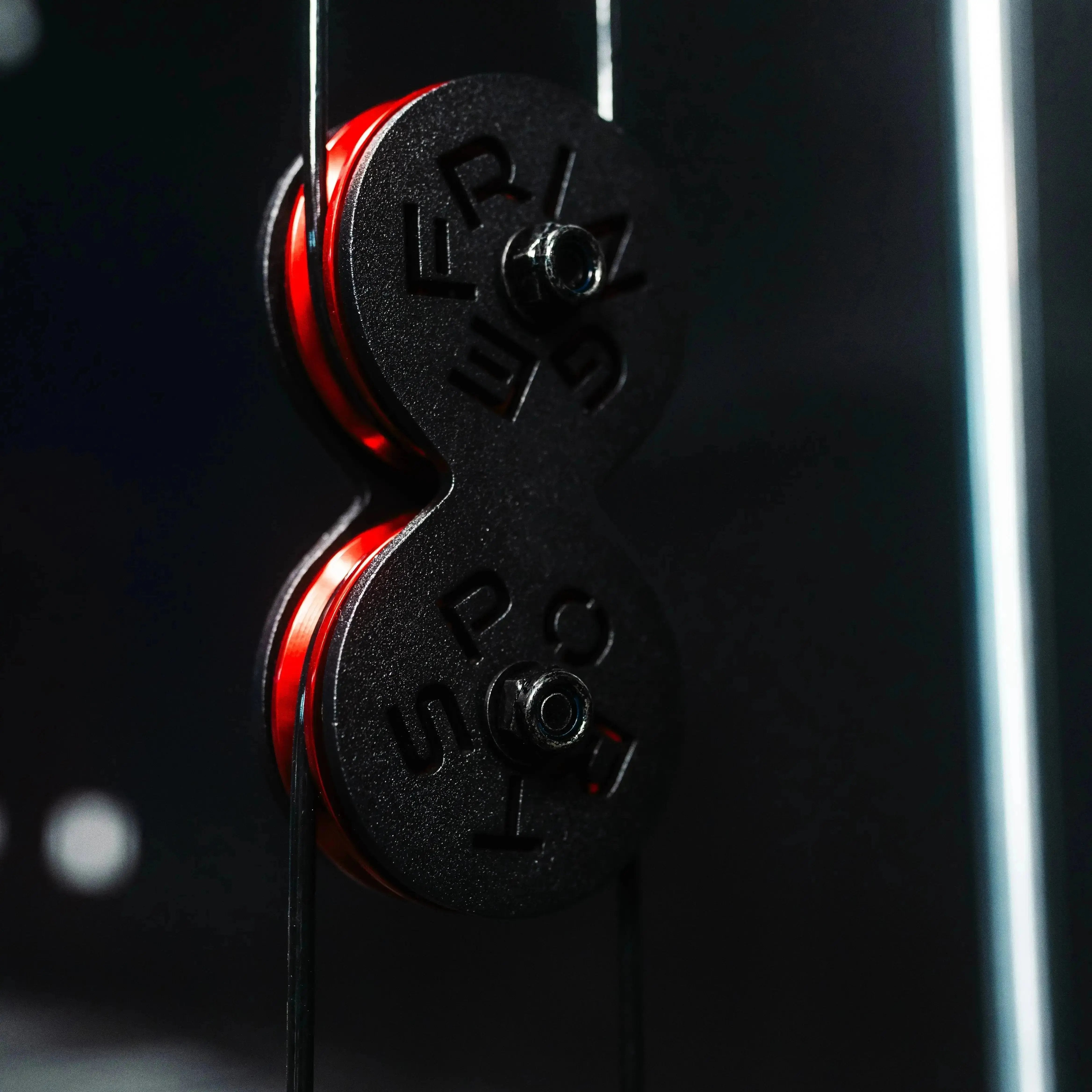 The Dane 2.0 Functional Trainer & Squat Rack | All-In-One Home Gym
