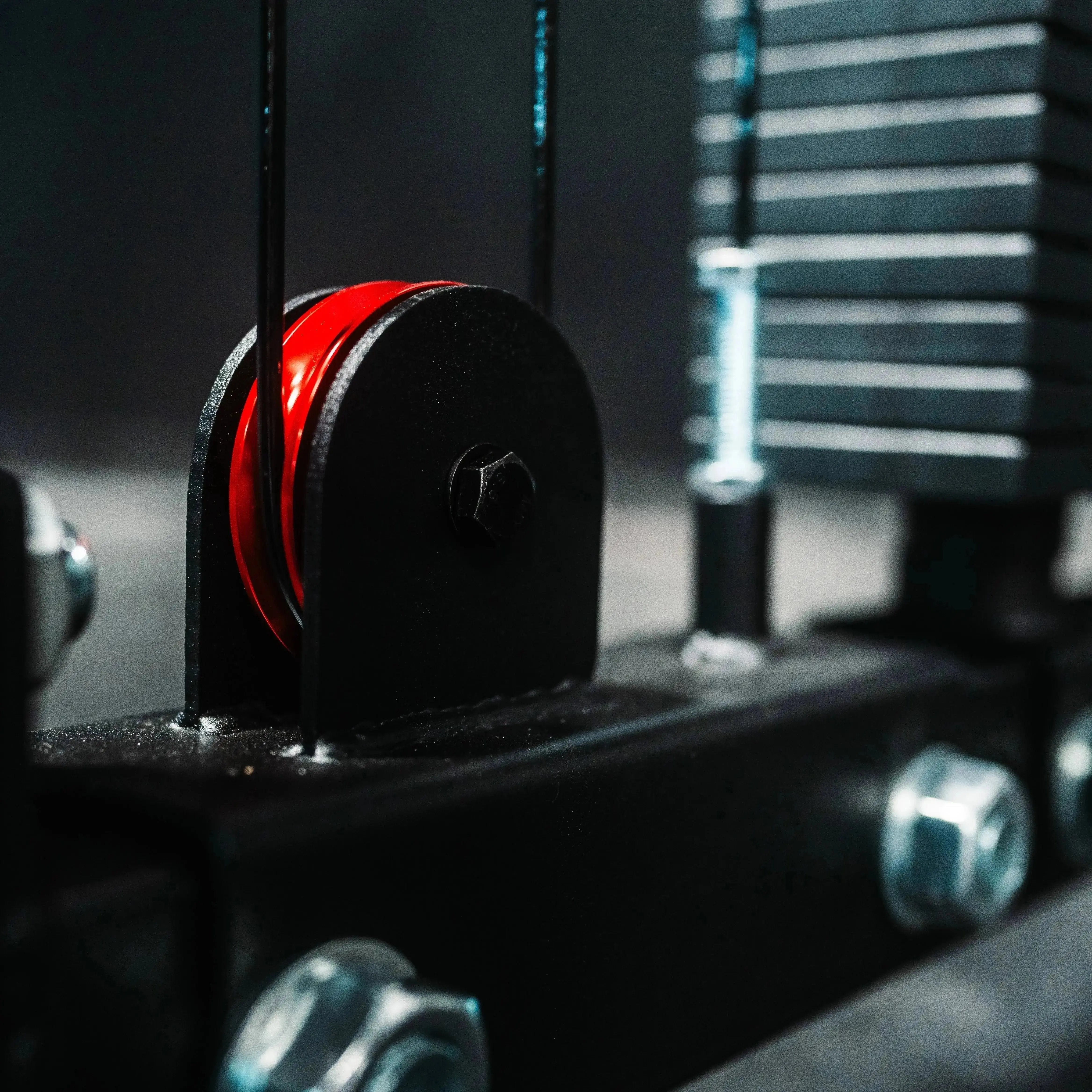 The Dane 2.0 Functional Trainer & Squat Rack | All-In-One Home Gym