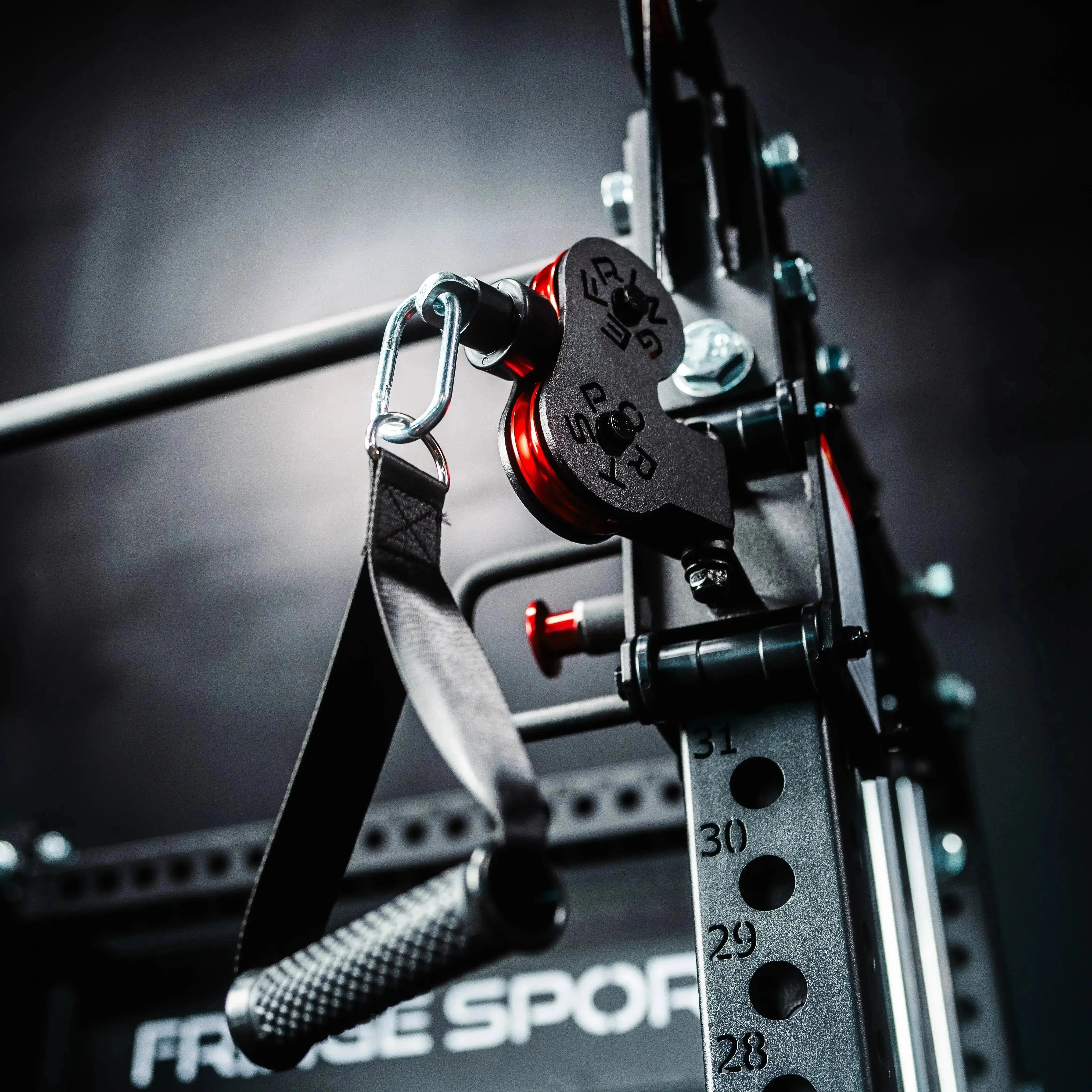 The Dane 2.0 Functional Trainer & Squat Rack | All-In-One Home Gym