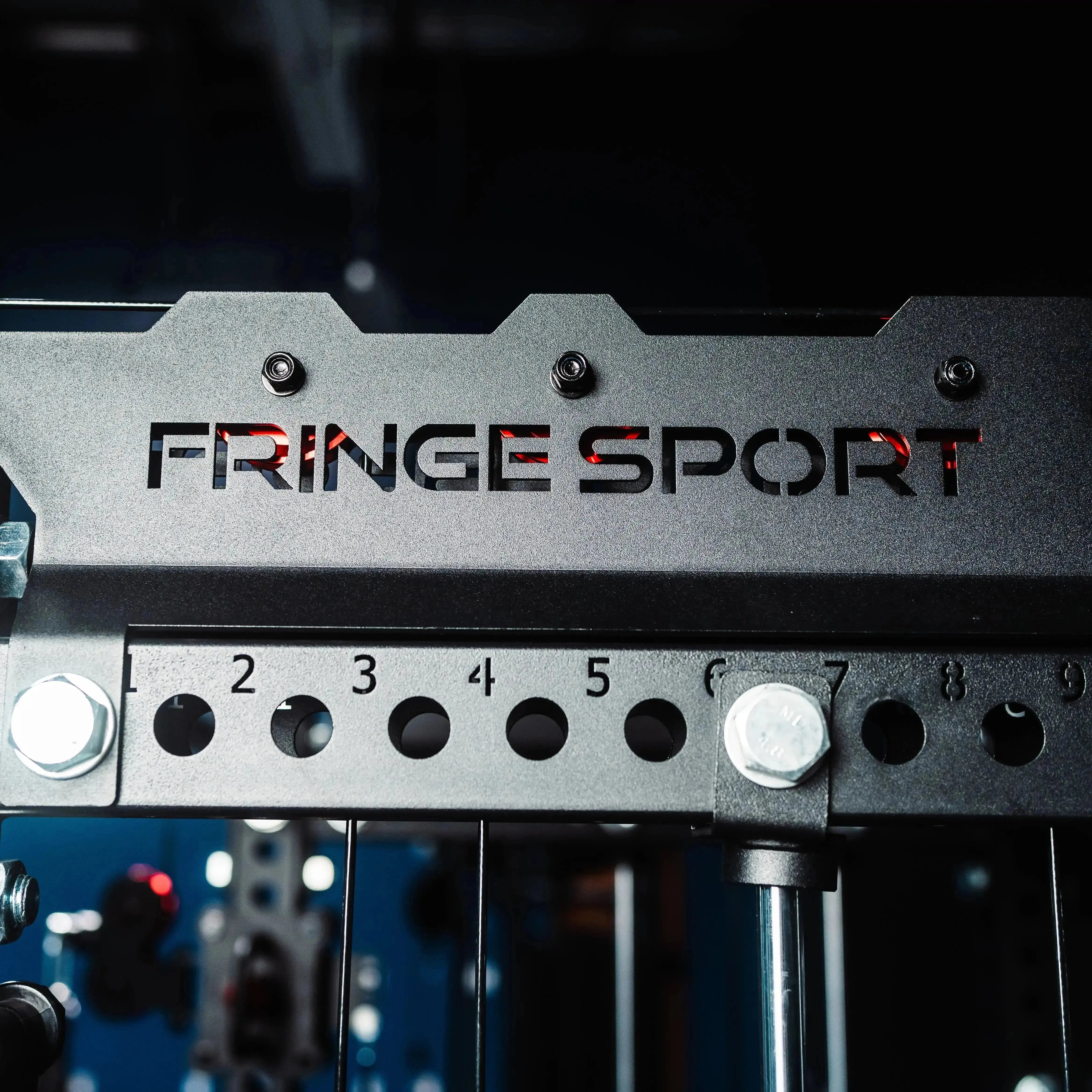 The Dane 2.0 Functional Trainer & Squat Rack | All-In-One Home Gym