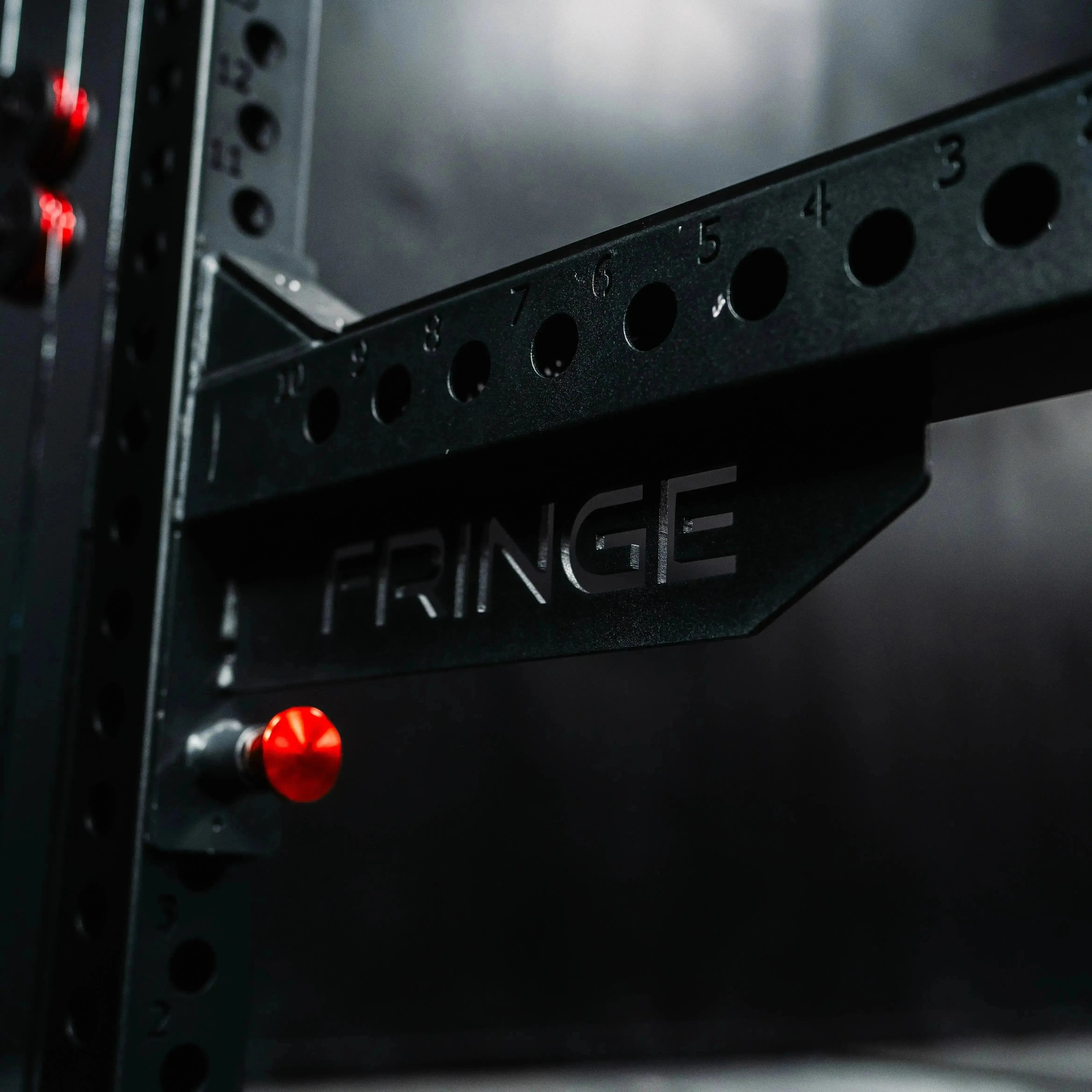 The Dane 2.0 Functional Trainer & Squat Rack | All-In-One Home Gym