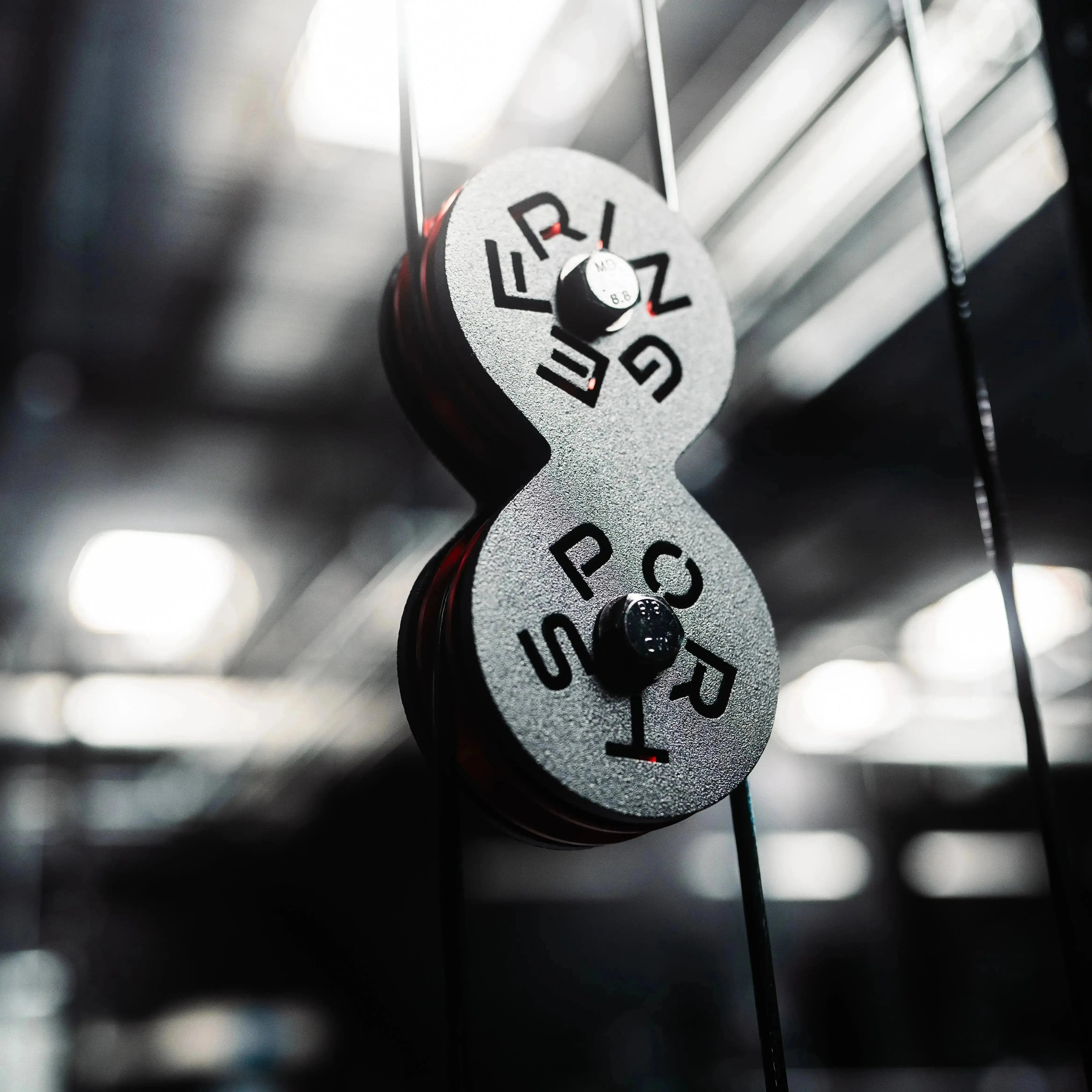 The Dane 2.0 Functional Trainer & Squat Rack | All-In-One Home Gym