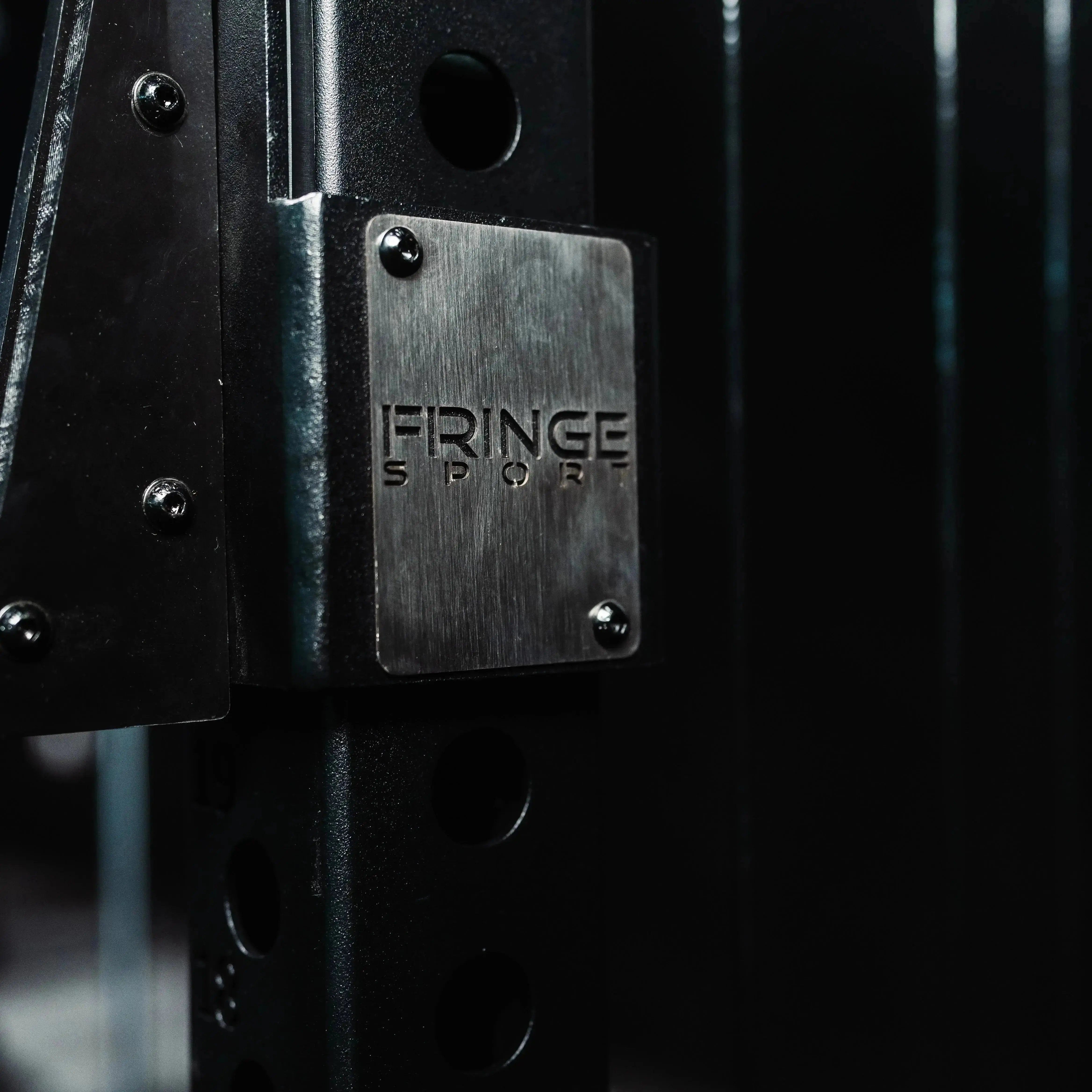 The Dane 2.0 Functional Trainer & Squat Rack | All-In-One Home Gym