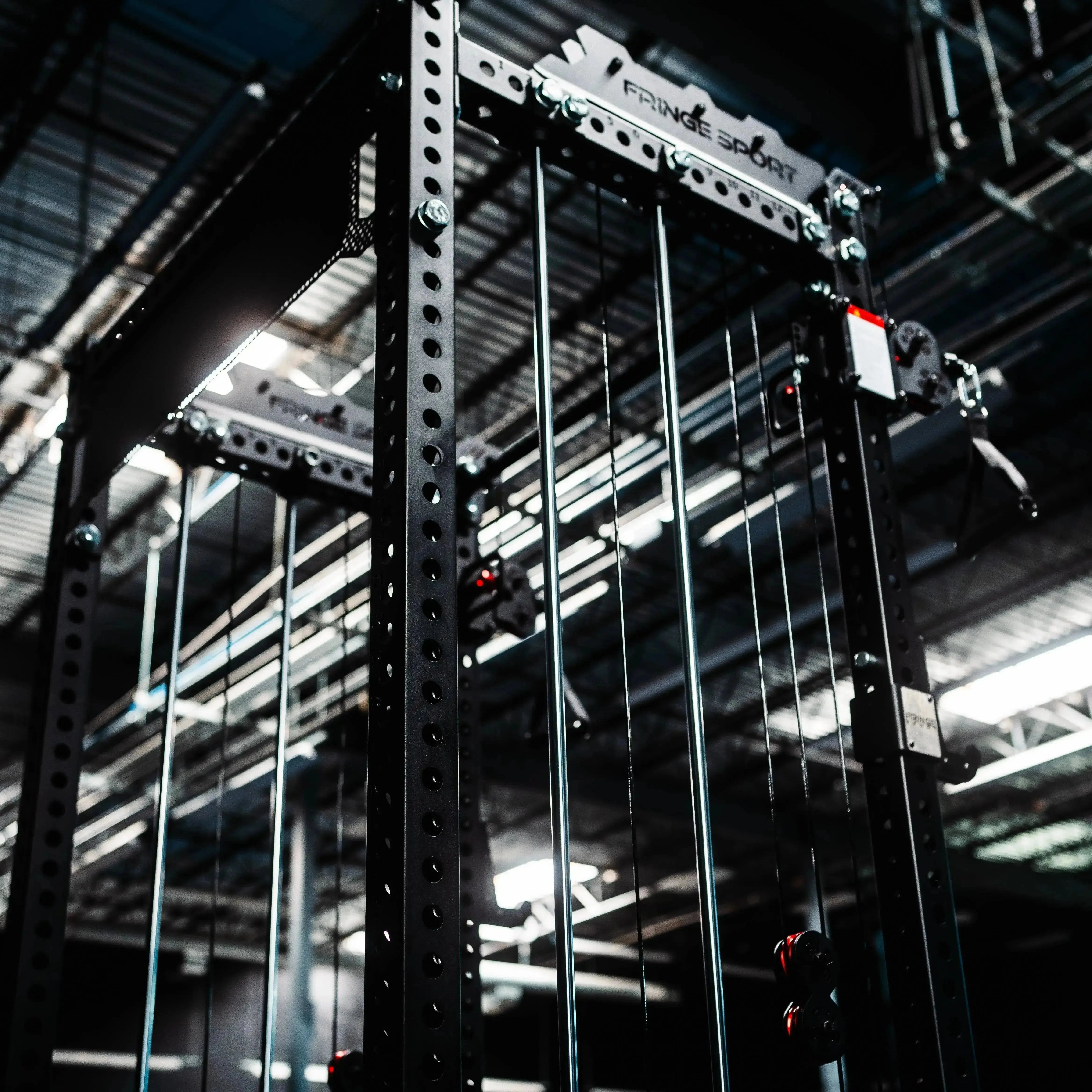 The Dane 2.0 Functional Trainer & Squat Rack | All-In-One Home Gym