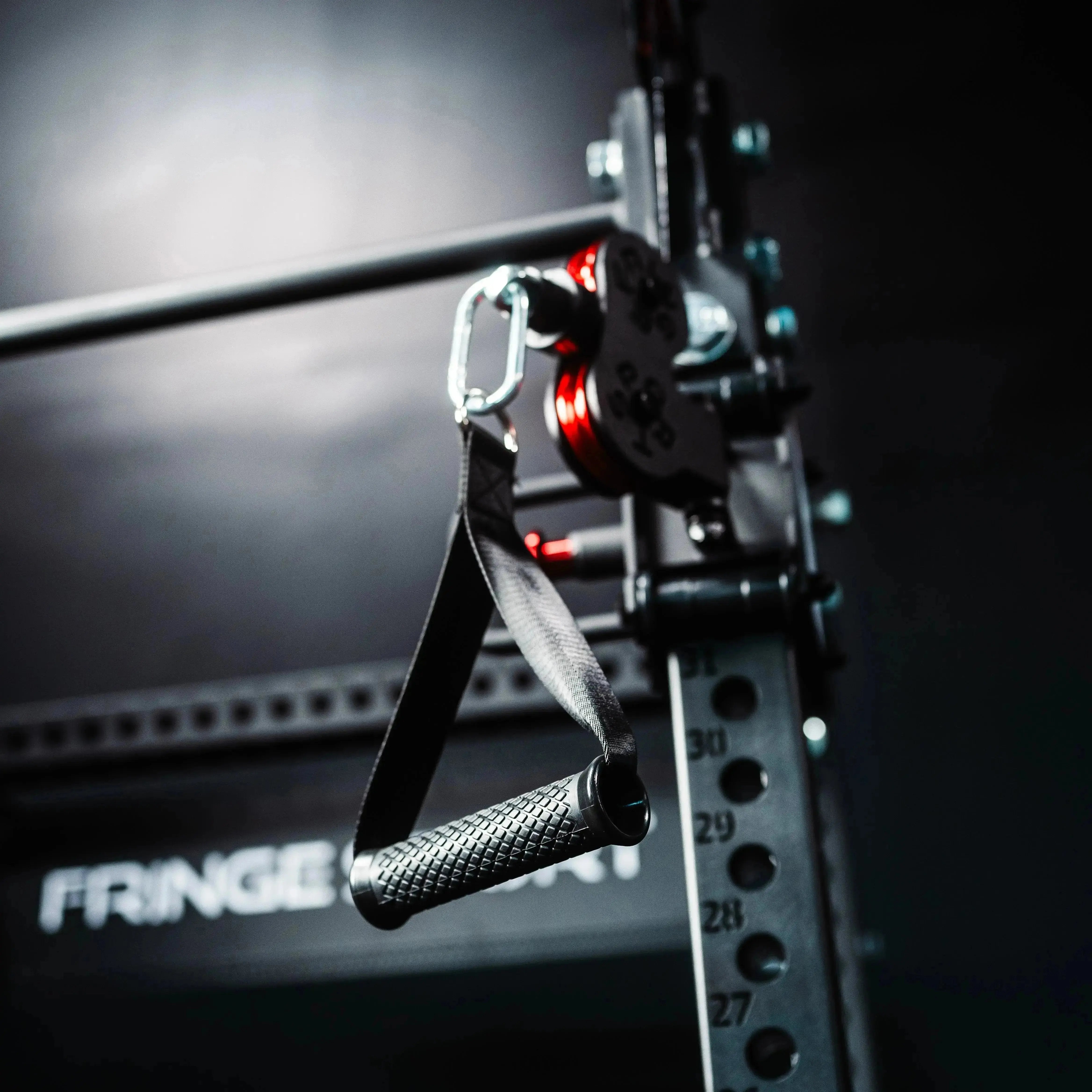 The Dane 2.0 Functional Trainer & Squat Rack | All-In-One Home Gym