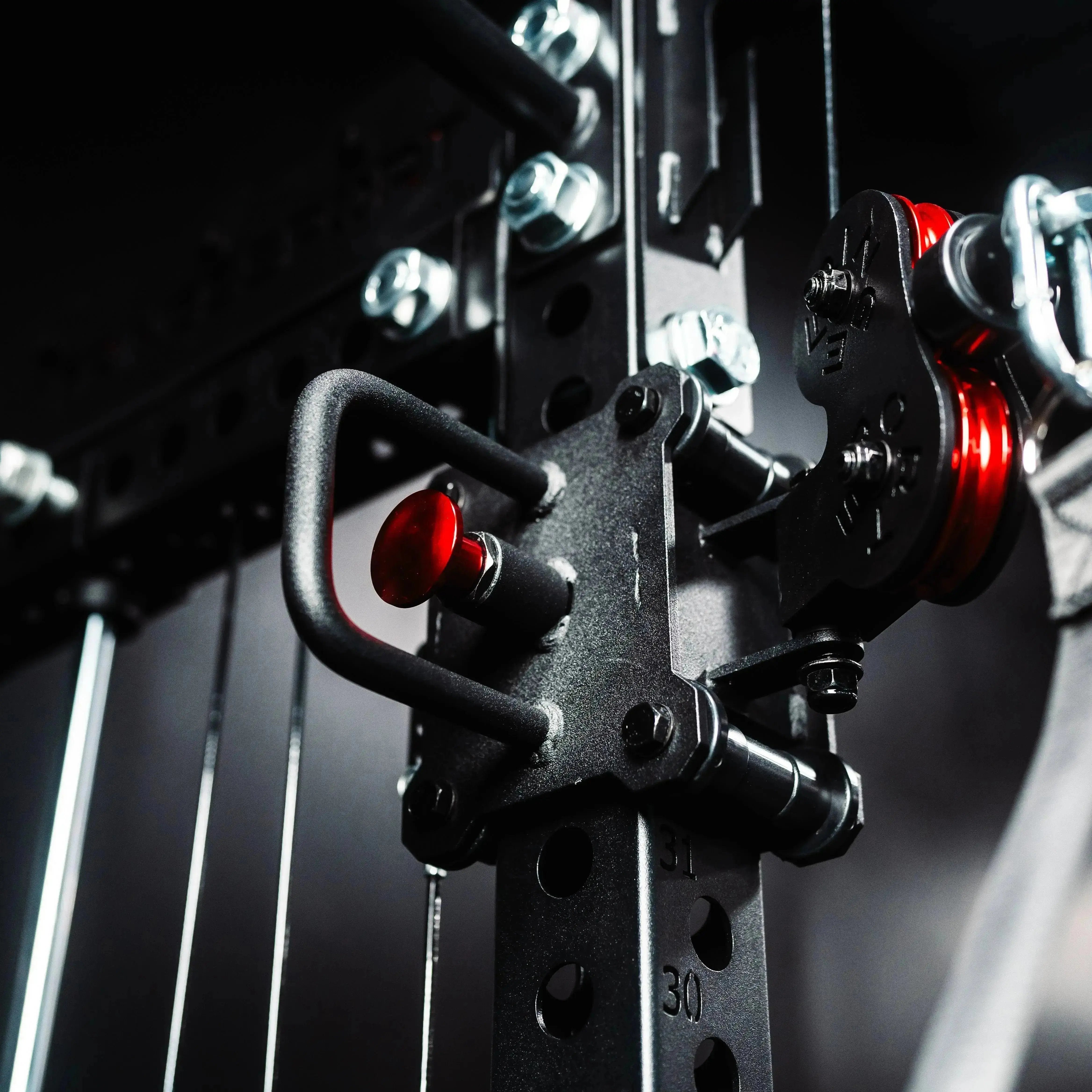 The Dane 2.0 Functional Trainer & Squat Rack | All-In-One Home Gym
