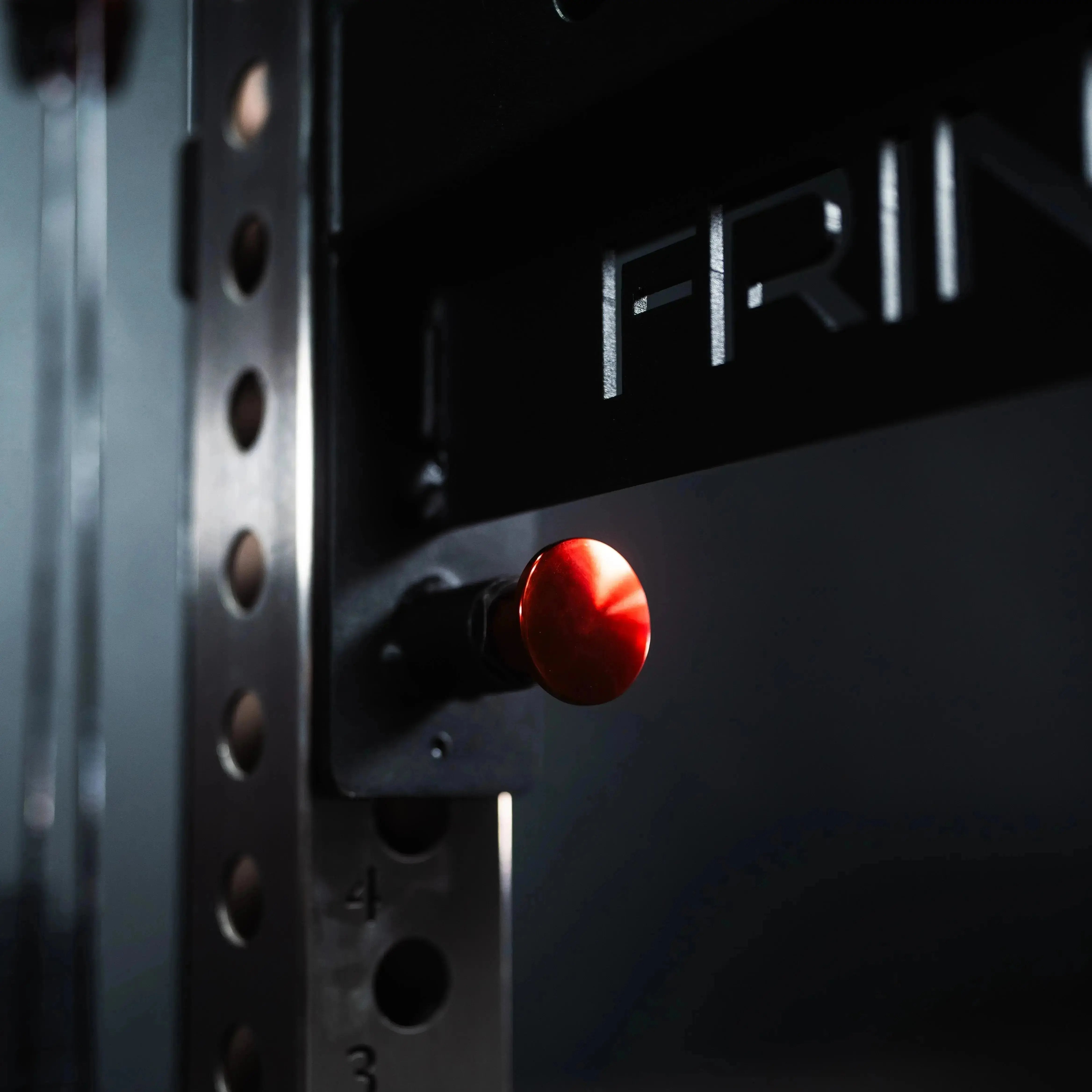 The Dane 2.0 Functional Trainer & Squat Rack | All-In-One Home Gym