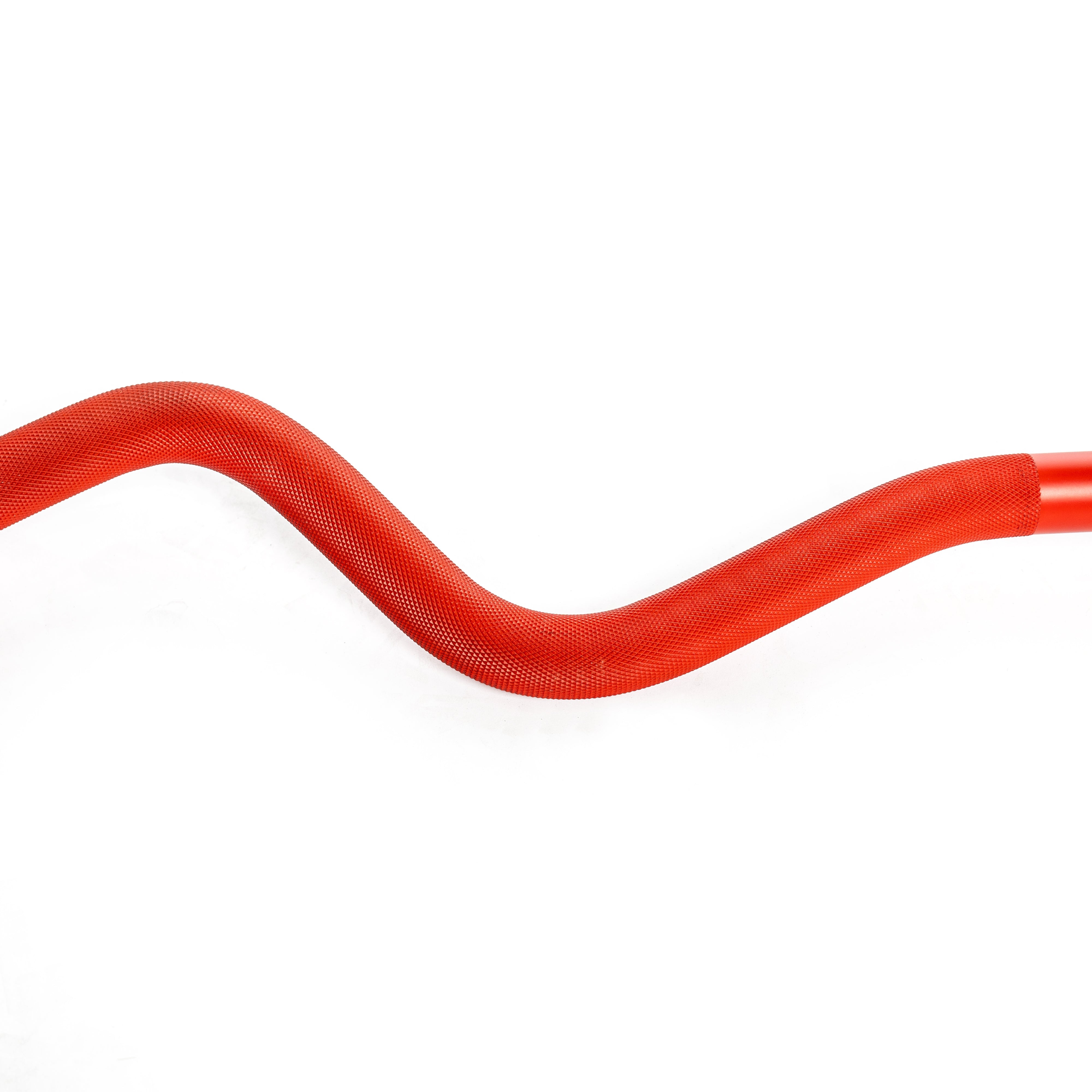 100% RAW Competition Curl Bar